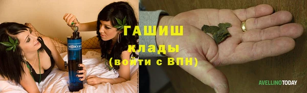 хмурый Абаза