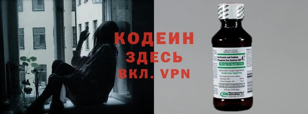 хмурый Абаза