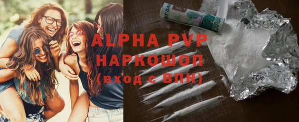 хмурый Абаза