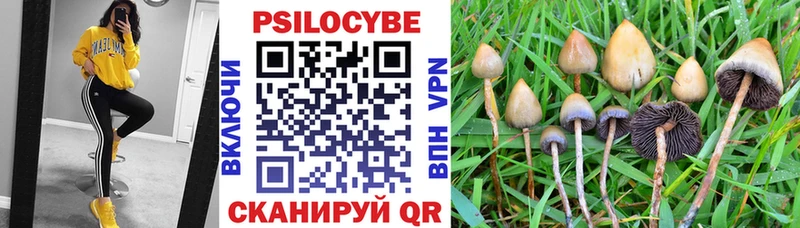 Галлюциногенные грибы прущие грибы где купить наркотик Отрадный