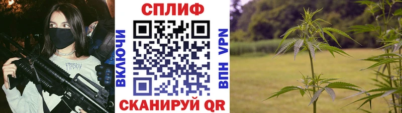 Бошки марихуана семена  Отрадный 